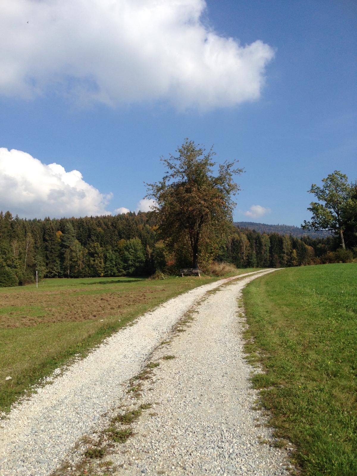 Ein Feldweg in der nähe des Landgasthofs