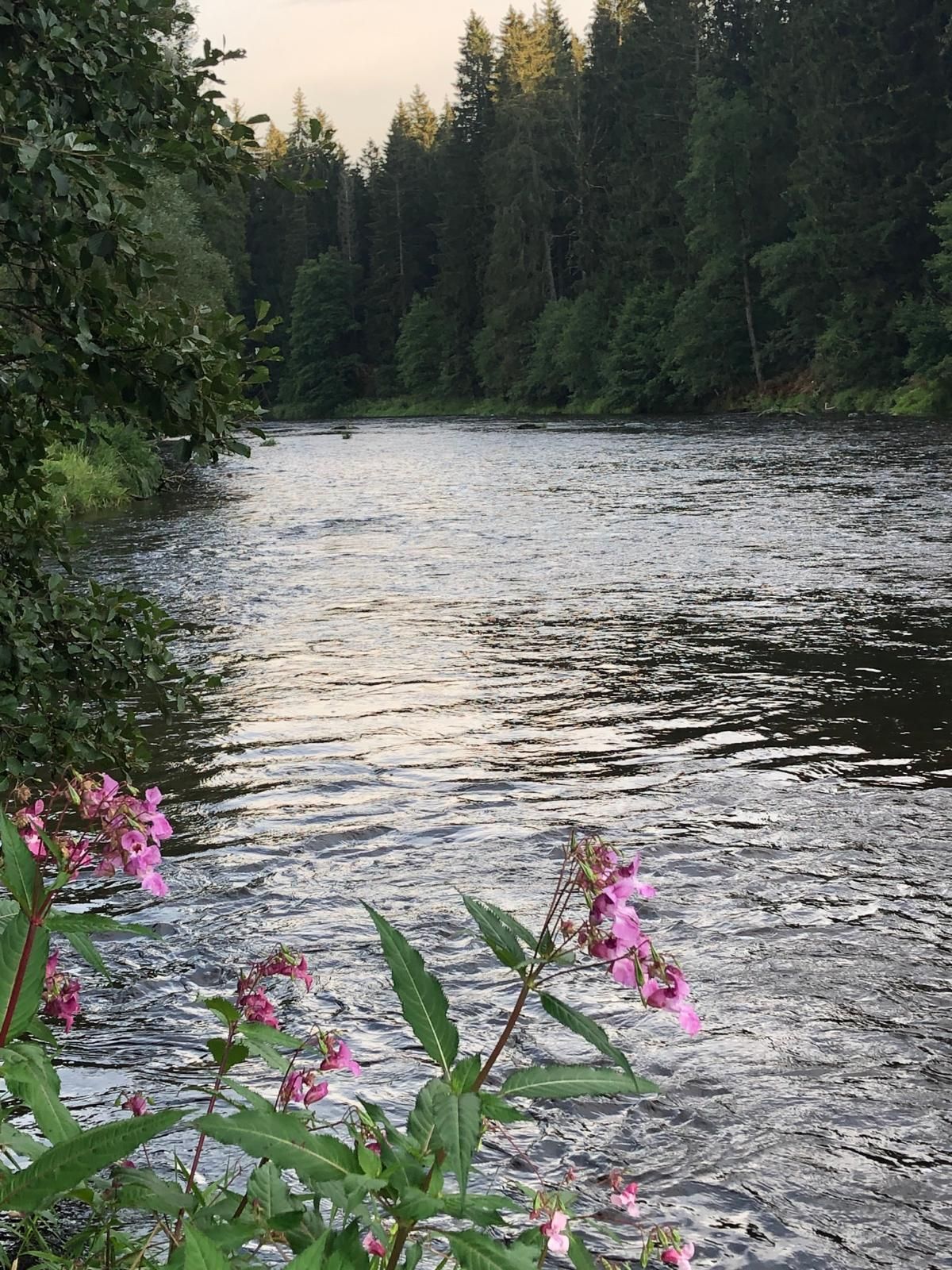 Schöner Flusslauf in Böbrach