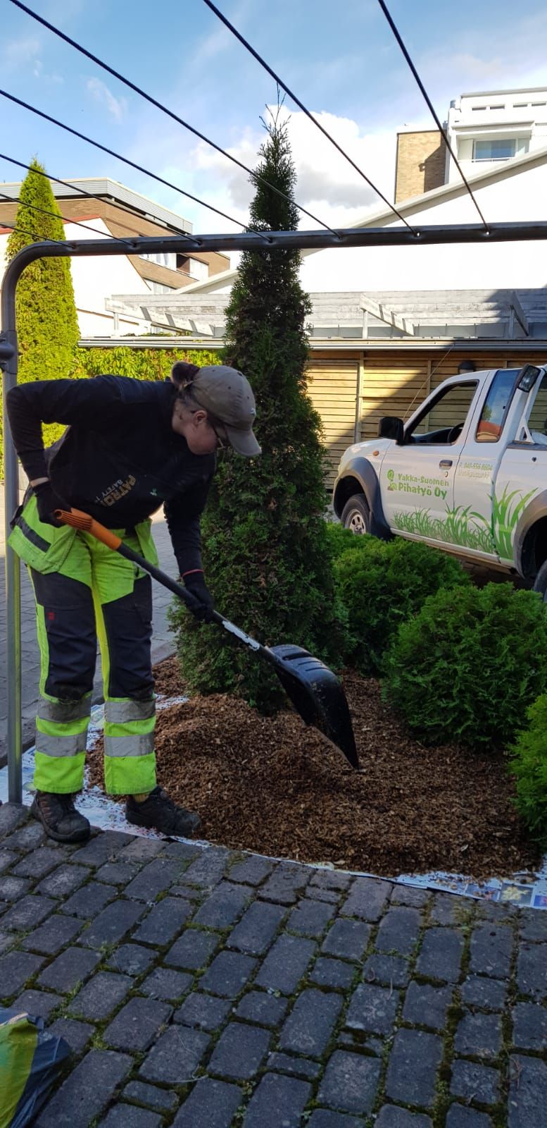 Pensaiden leikkaus.