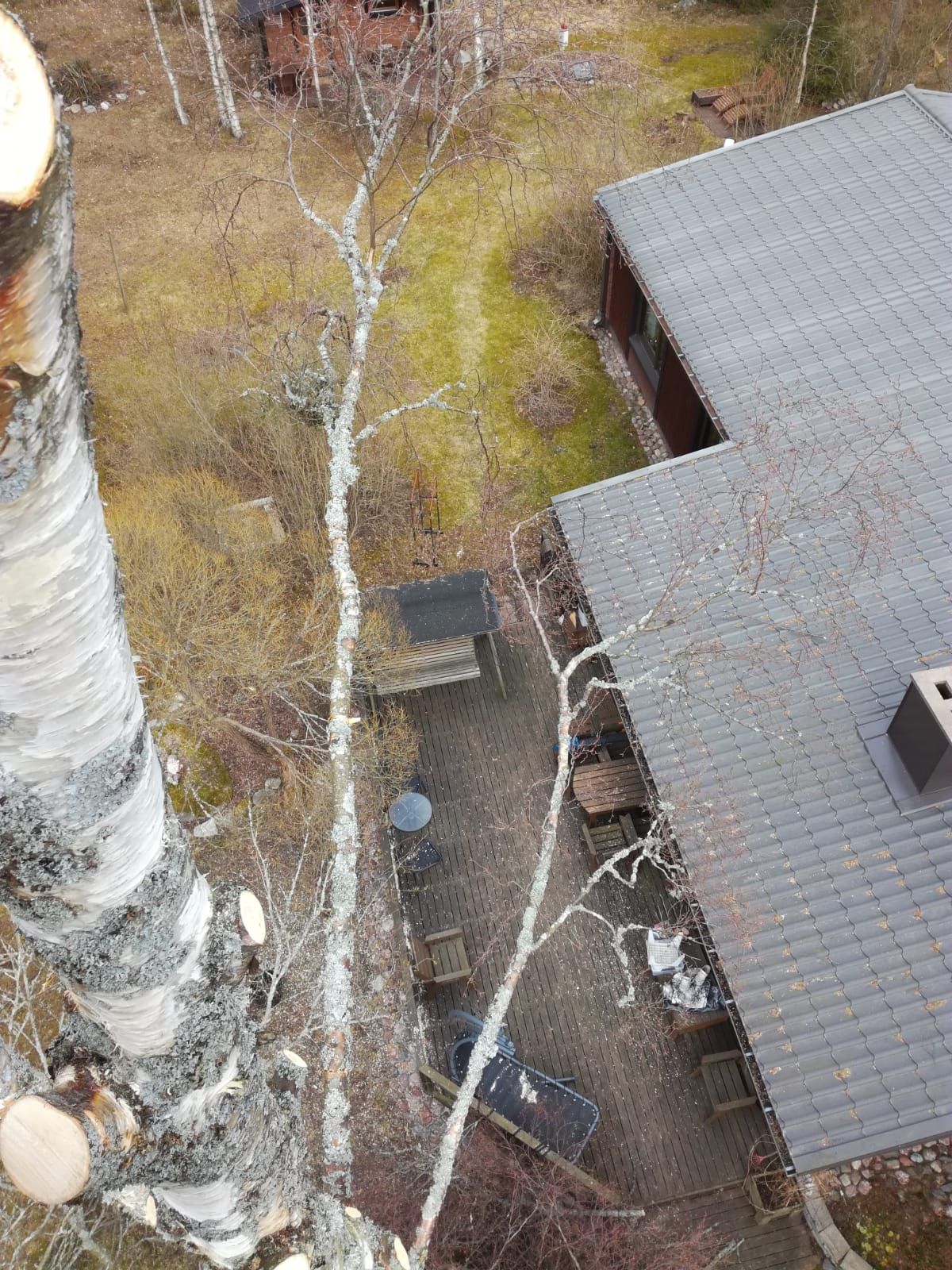 Kaadamme puut Rauman ja Uudenkaupungin seuduilla.