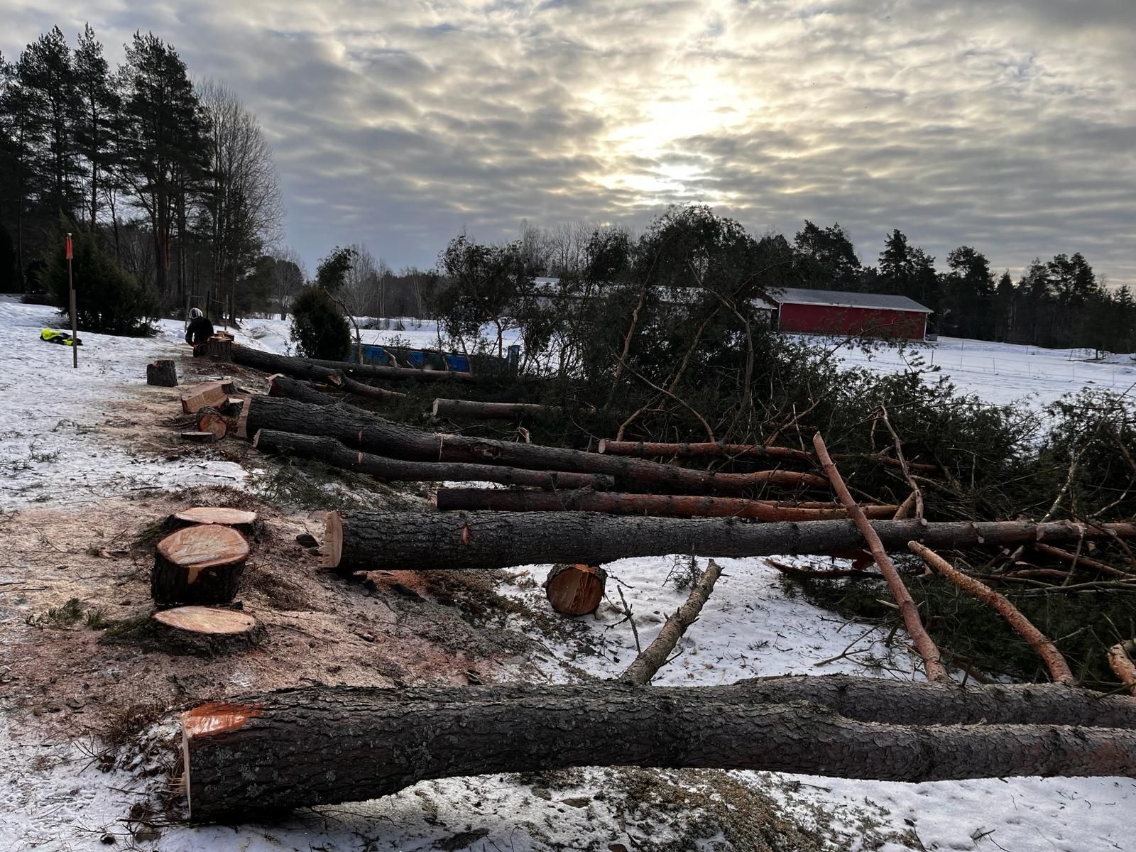Kaikenlaiset puun kaadot.