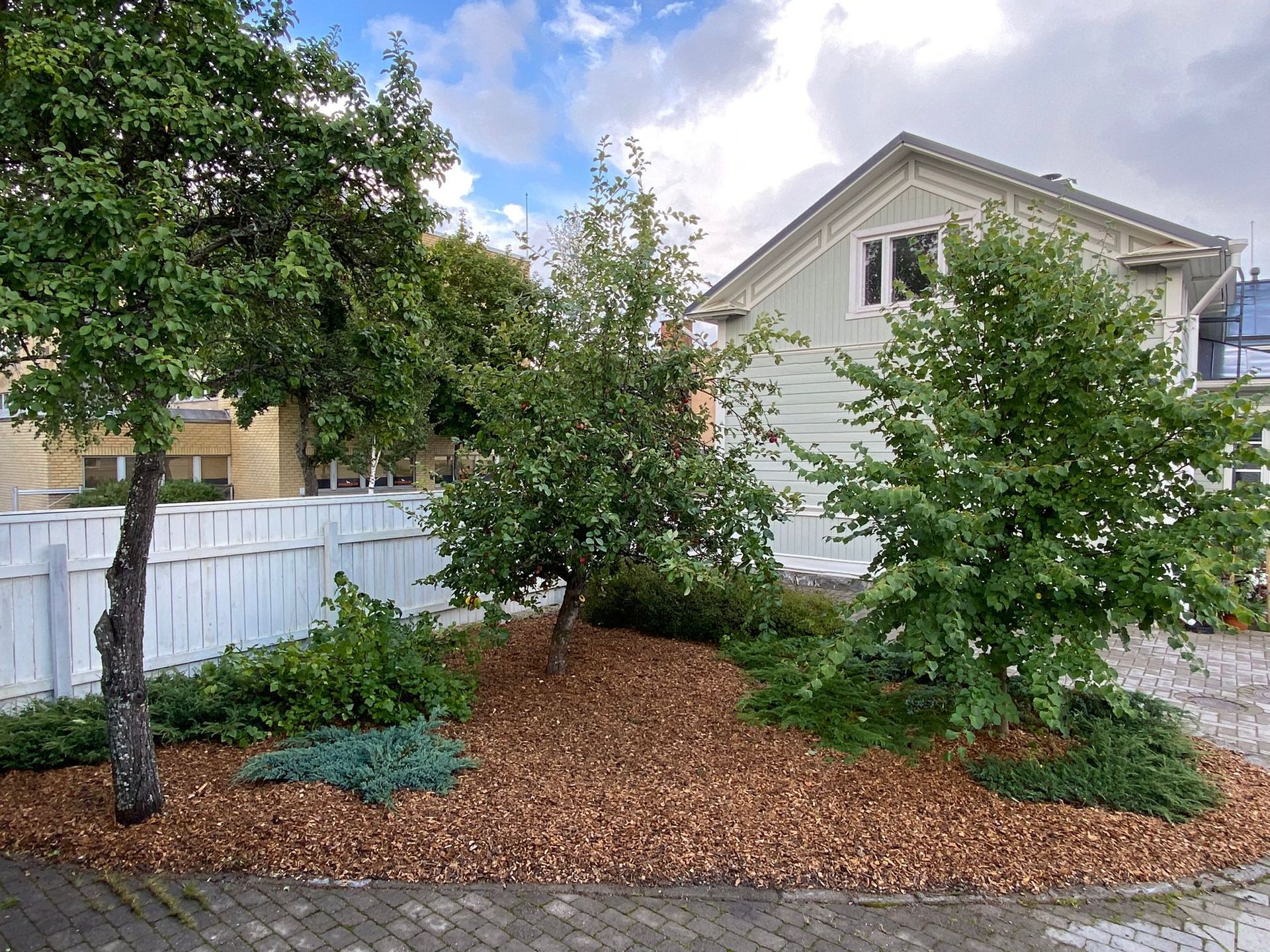 Omenapuiden leikkaus Rauma ja Uusikaupunki.