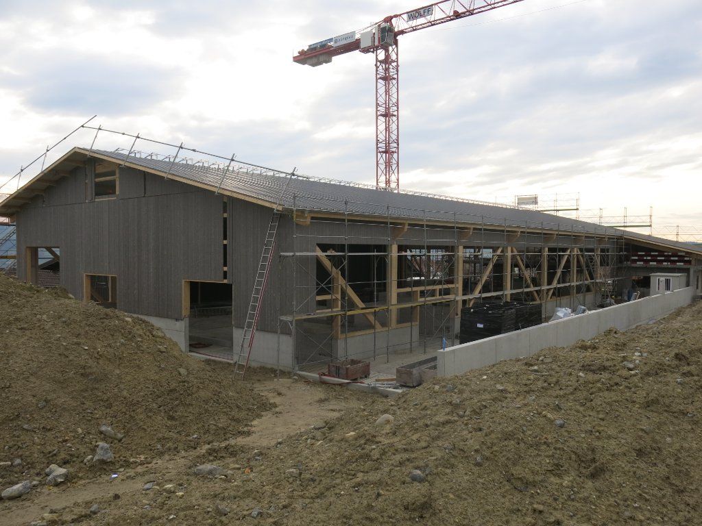 Helfenstein + Muff Holzbau AG