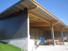 Helfenstein + Muff Holzbau AG