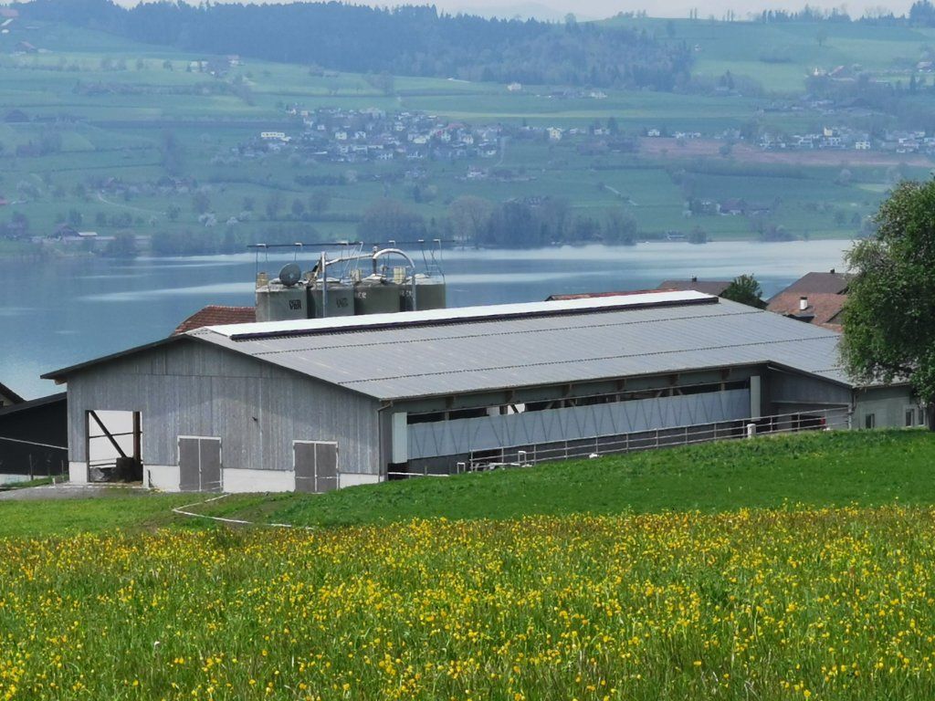Helfenstein + Muff Holzbau AG