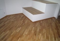 Helfenstein + Muff Holzbau AG