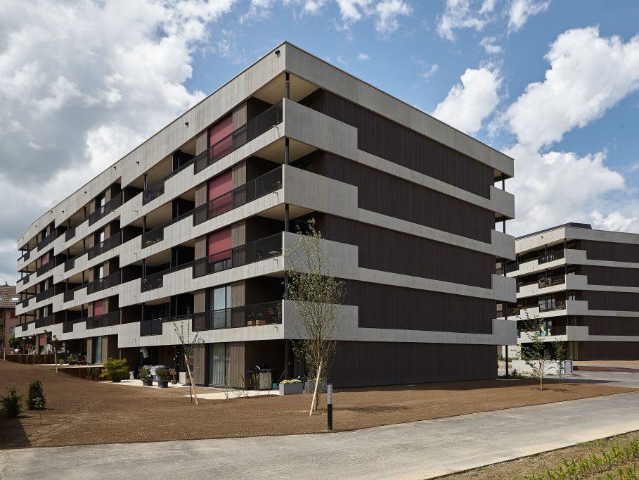 Helfenstein + Muff Holzbau AG