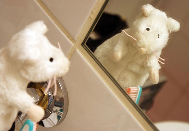 El Ratoncito Pérez, un mito universal con muchas variantes