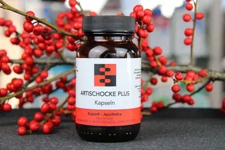 Artischocke Plus