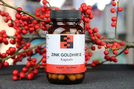 Zink Goldhirse