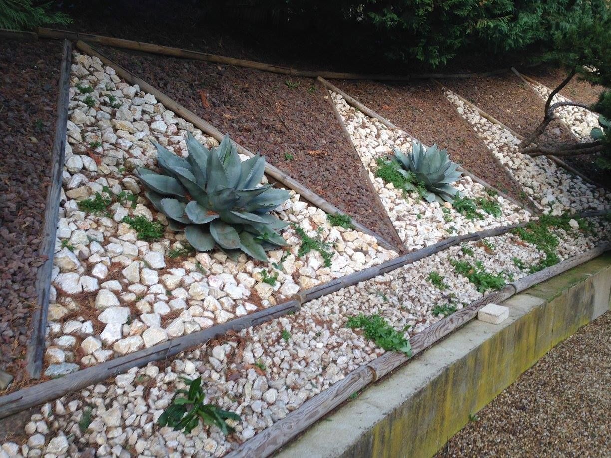 Aménagement de parterre de fleurs
