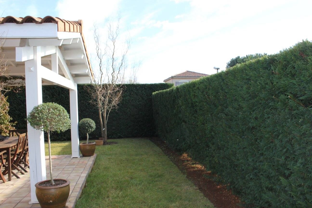 Taille de haies de jardin