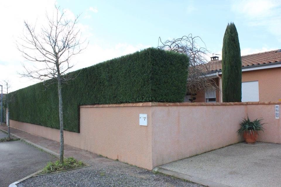 Taille de haies chez un particulier