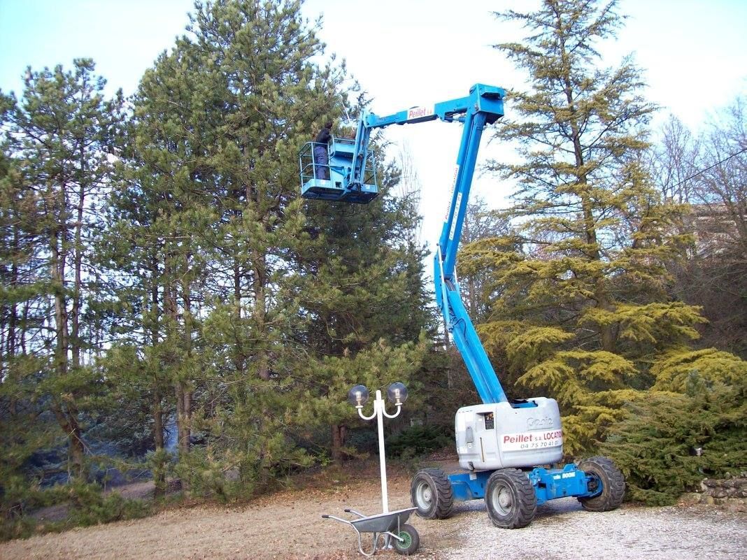 Élagage d’arbre avec nacelle