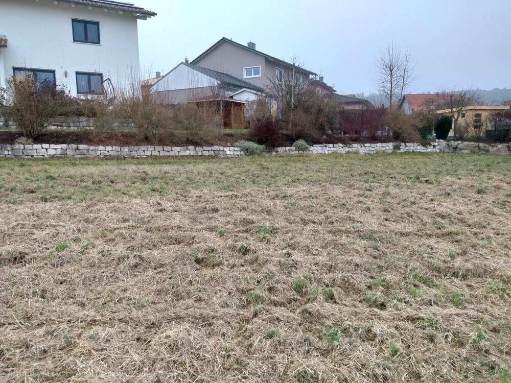 Ein Feld mit trockenem Gras vor Häusern an einem bewölkten Tag.