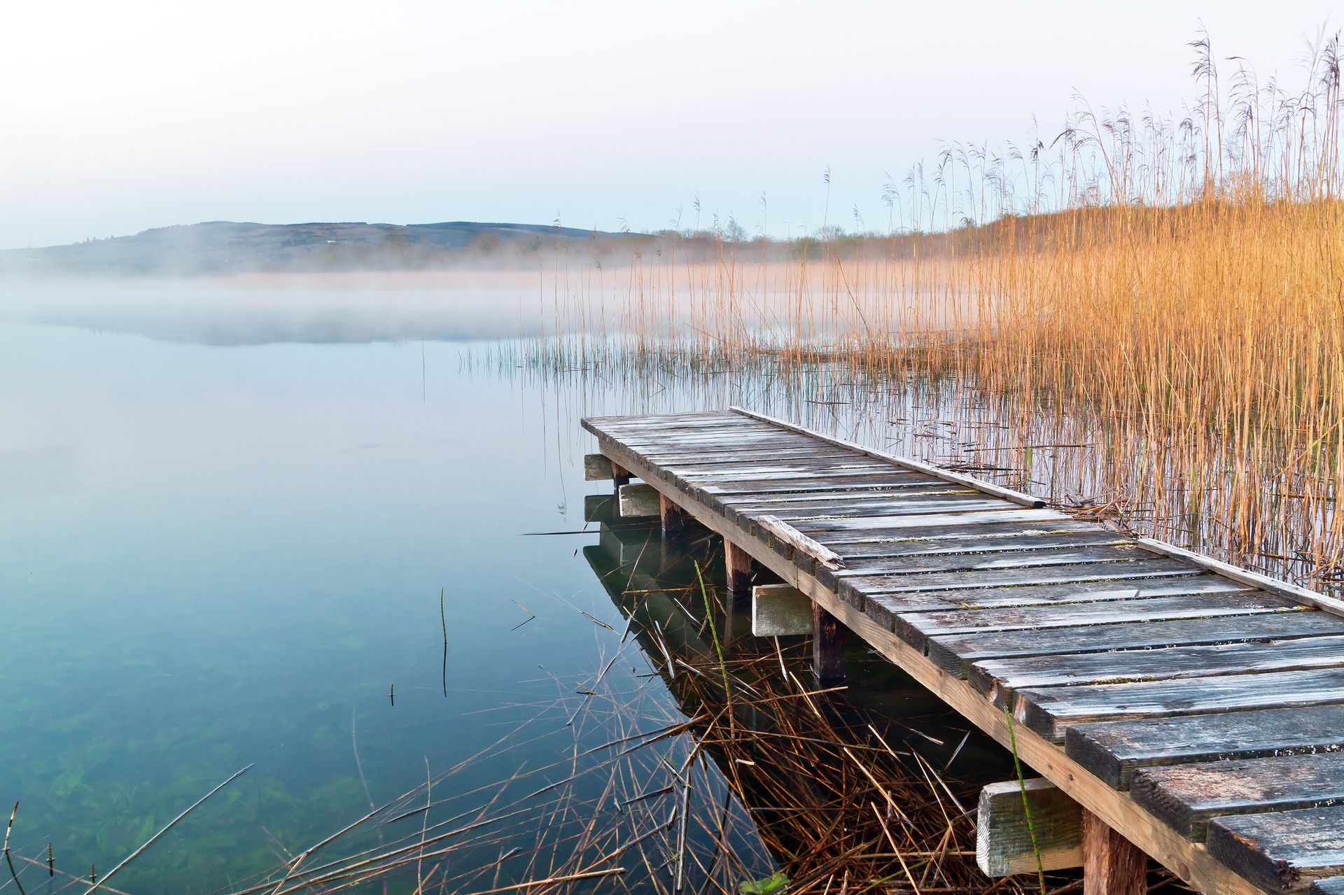 Passerelle sur un lac