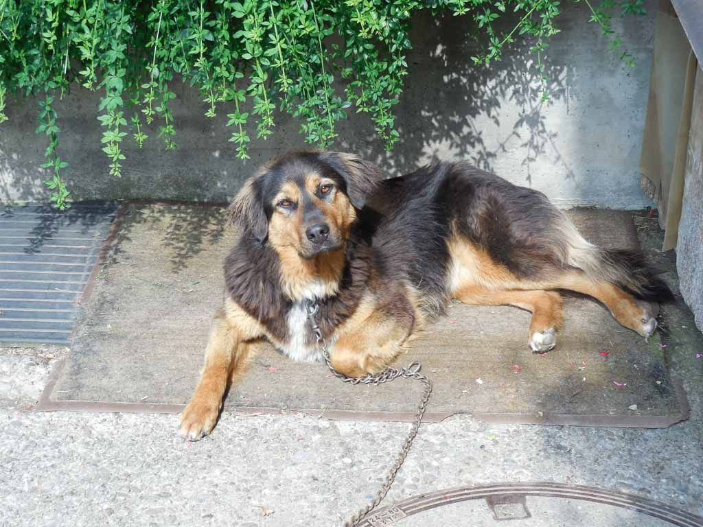 Familie Menzi Obst- und Weinbau in Nürensdorf