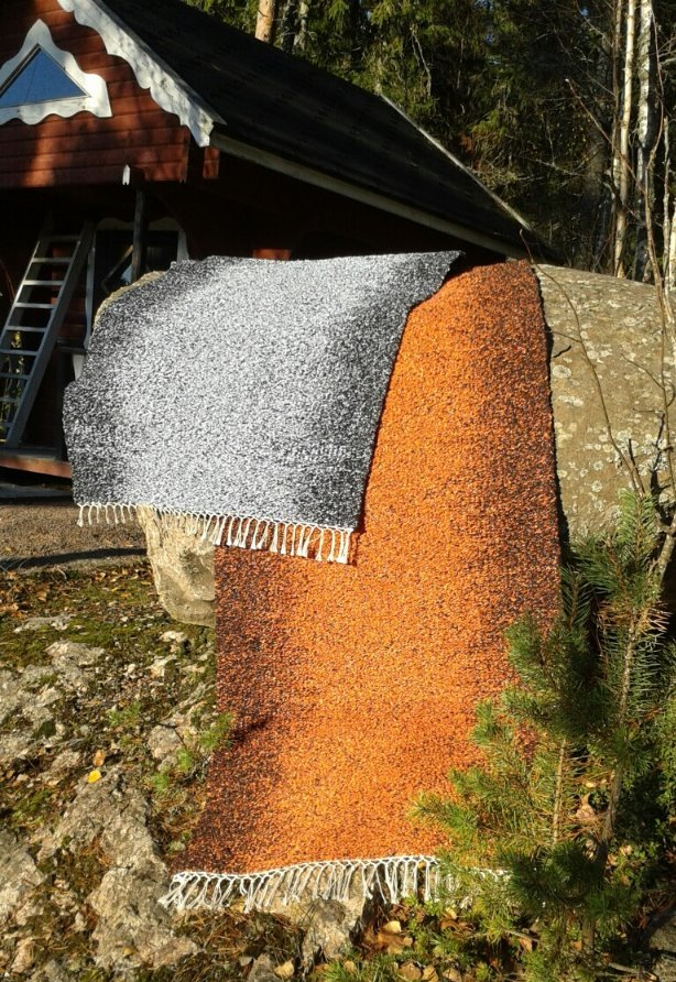 Viltti makaa kivellä talon edessä