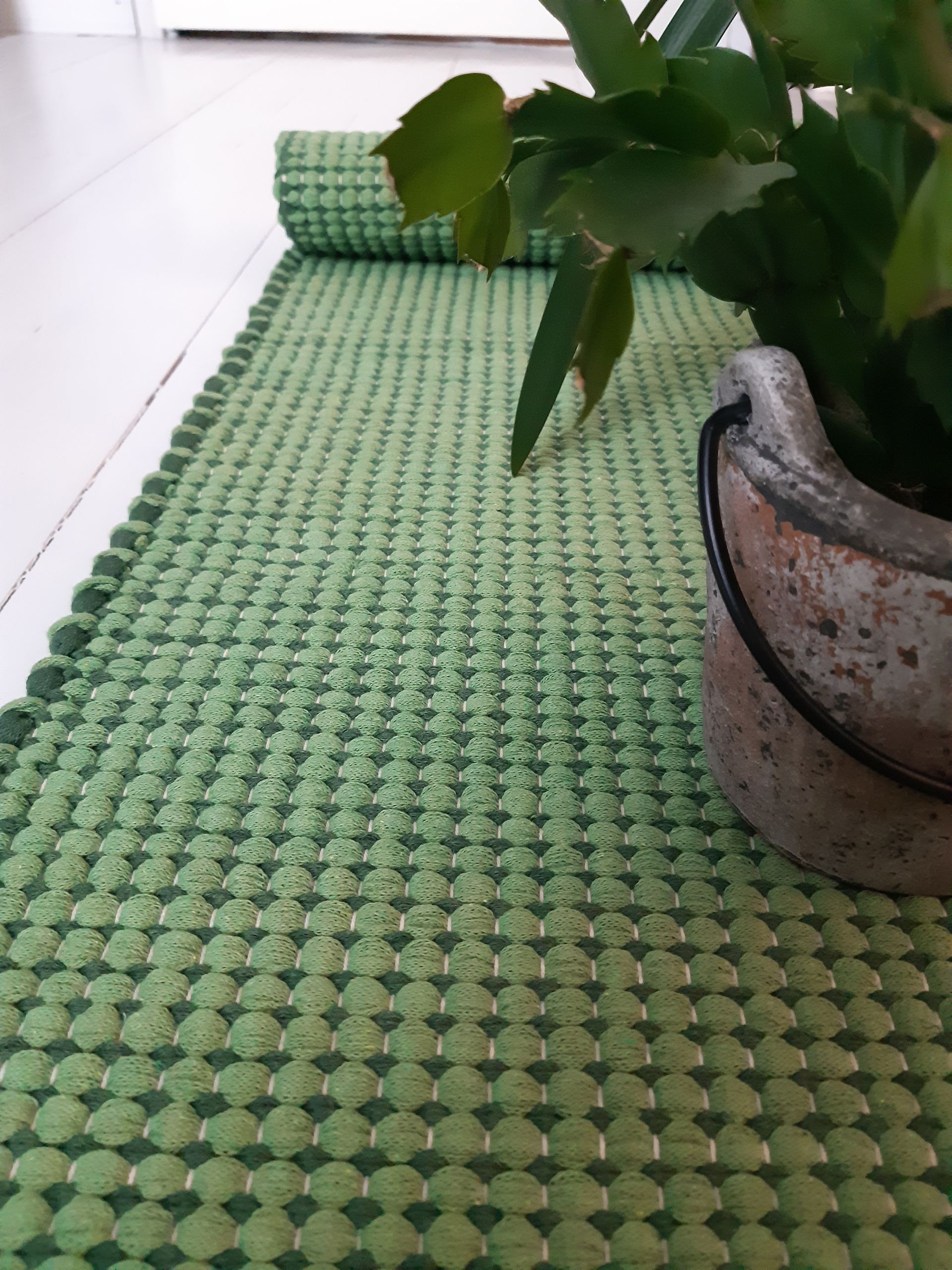 Ruukkukasvi istuu vihreällä matolla