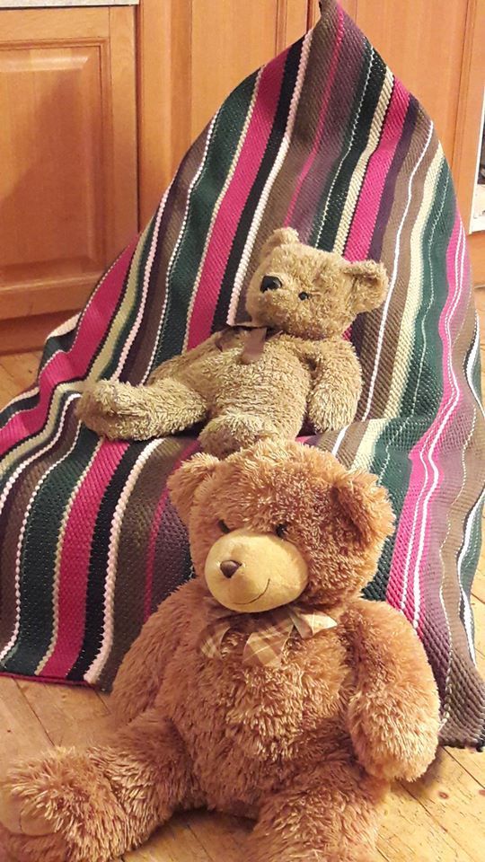 Kaksi nallekarhua istuu raidallisen viltin päällä