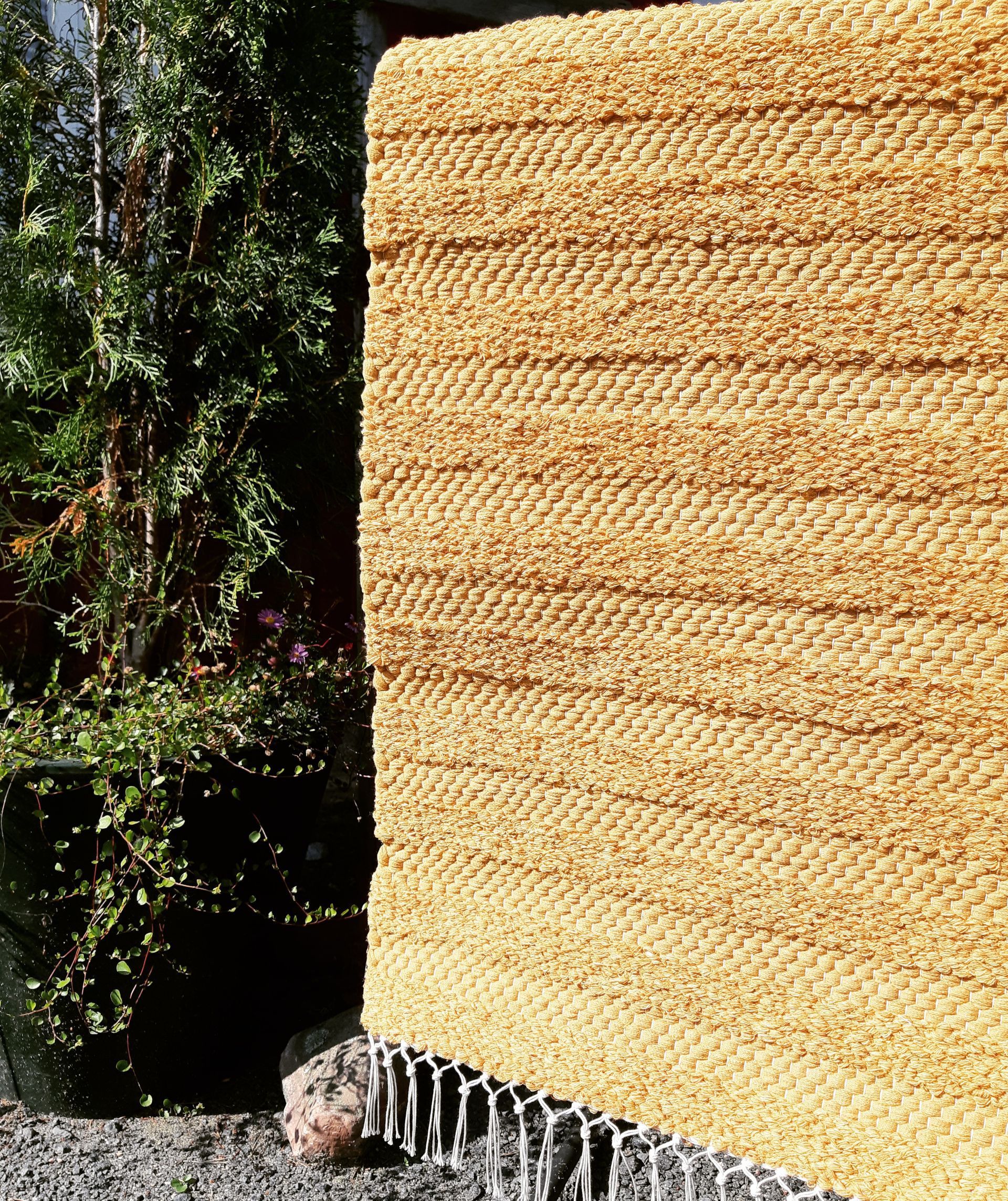 Keltainen matto on kivellä puun edessä