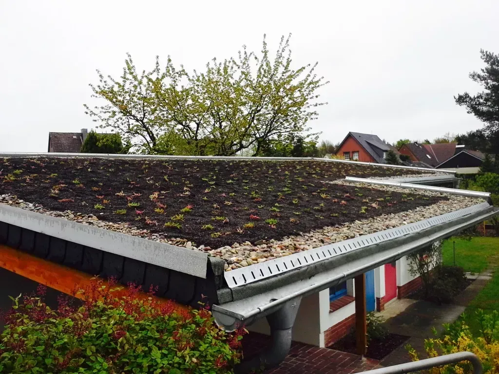 Ein modernes Flachdach, bedeckt mit Vegetation und Kies, mit einer metallenen Dachrinne, aus einer erhöhten Außenperspektive gesehen.