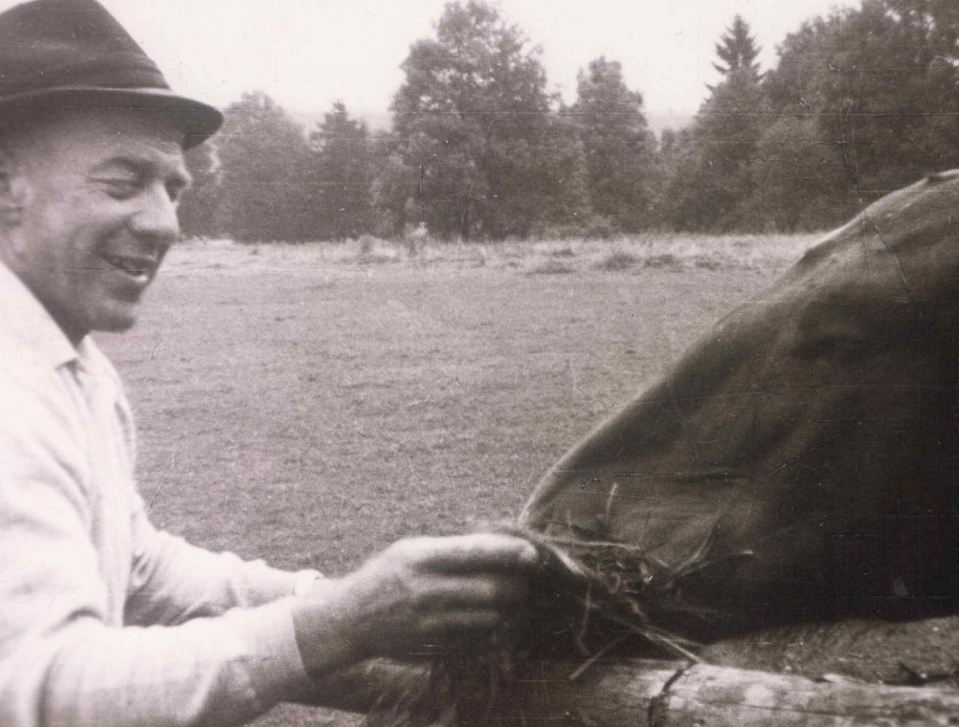 Ein älterer Mann mit Hut lächelt und füttert ein Pferd auf einer Wiese; im Hintergrund stehen Bäume