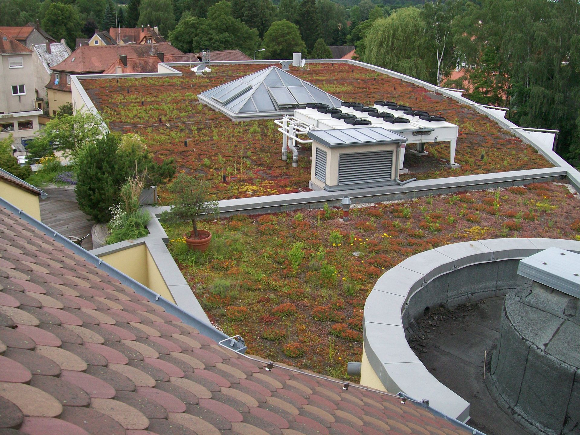 Großes begrüntes Flachdach mit Dachfenstern auf einem Wohngebäude.