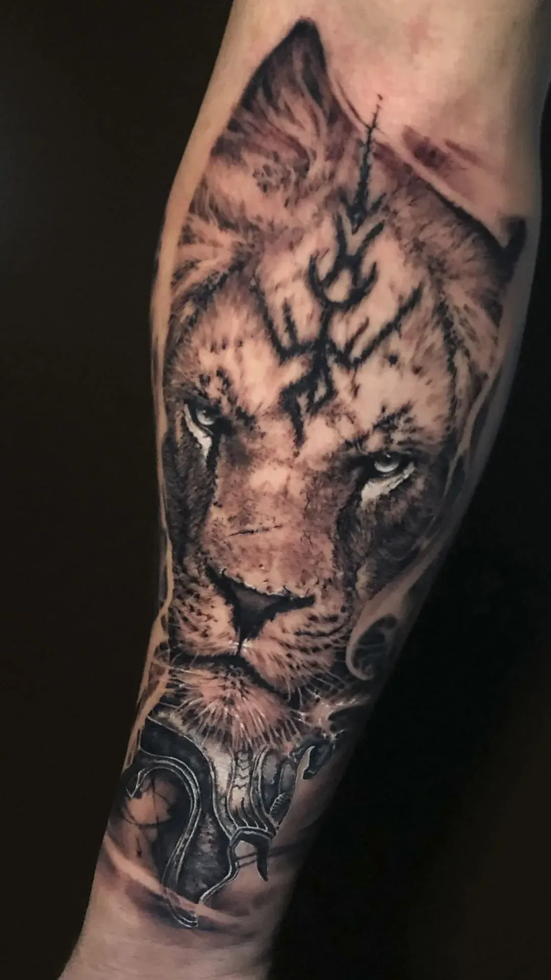 Tatuaje de león en el antebrazo con runas nórdicas sobre el ojo, gruñendo con garras afiladas.