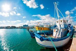 Un barco pesquero está atracado en un puerto en un día soleado.