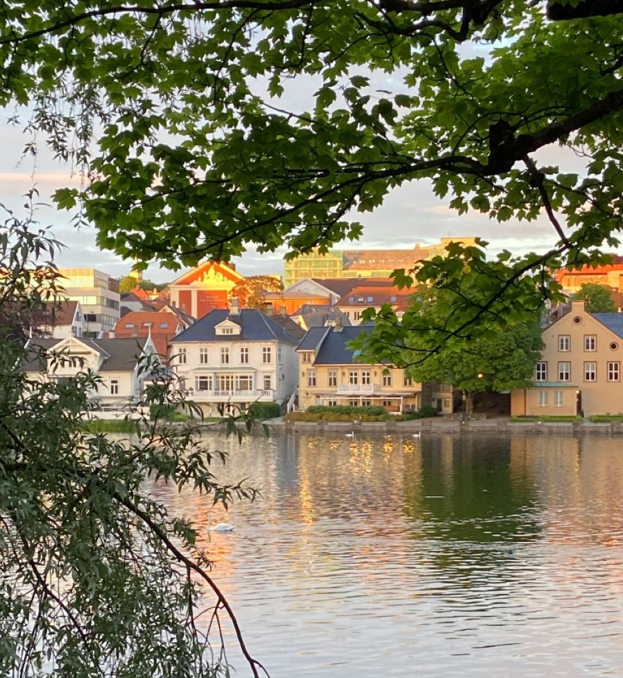 Riverfront buildings at sunset, framed by leafy branches, reflecting in calm water