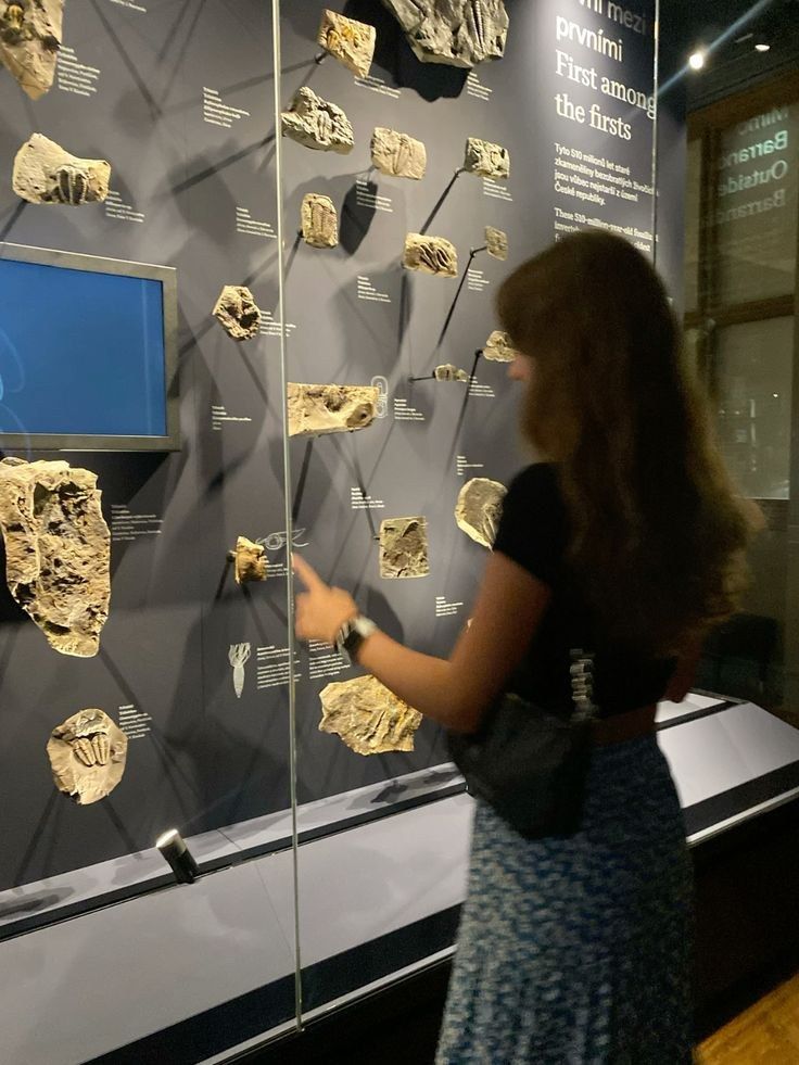 A visitor looking at fossils in a museum display