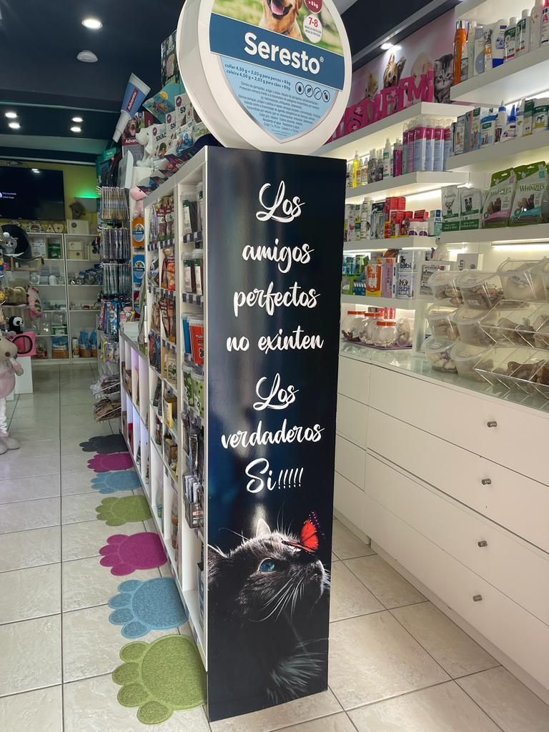 Un cartel en una tienda con un gato.