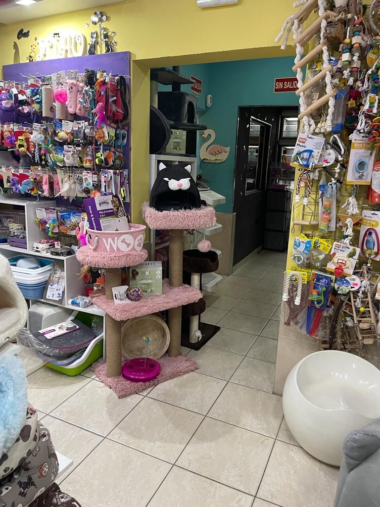 Hay un árbol para gatos en el medio de la habitación.