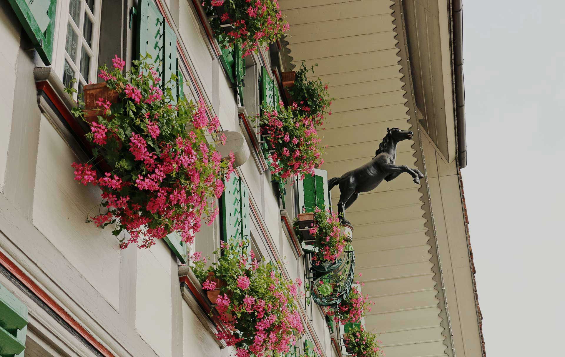 Gartnerei Friedhofgartnerei - Morgenthaler Gärtnerei Gartenpflege Blumengeschäft