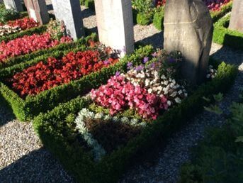 Friedhofgärtnerei - Morgenthaler Gärtnerei Gartenpflege Blumengeschäft