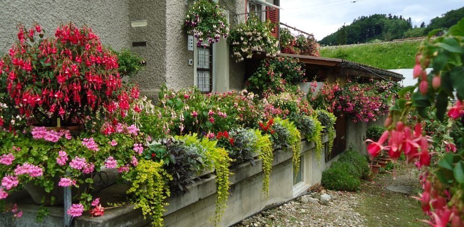 Gartnerei Friedhofgartnerei - Morgenthaler Gärtnerei Gartenpflege Blumengeschäft