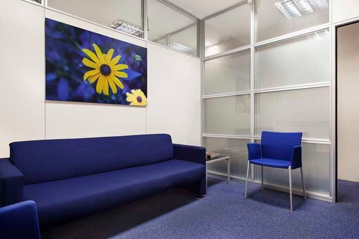 Una sala de espera con un sofá y sillas azules y un cuadro de una flor en la pared.