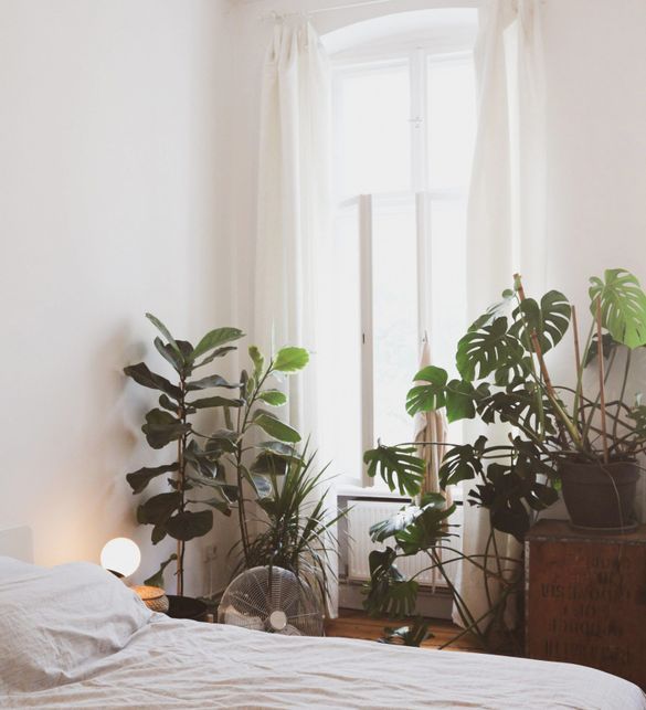 Un dormitorio con una cama y muchas plantas en macetas.