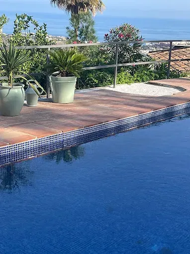 Una piscina con plantas en macetas a un lado y una vista al océano.