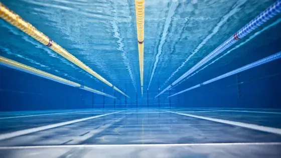 Una vista de una piscina desde debajo del agua.