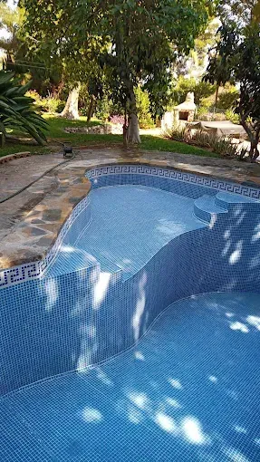Una gran piscina rodeada de árboles en un patio trasero.