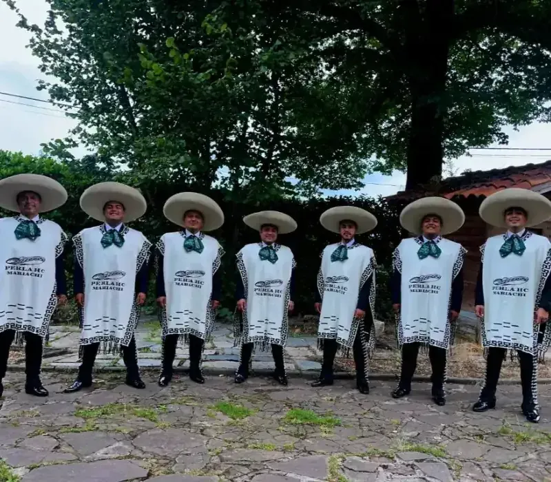 Siete músicos de mariachi con sombreros blancos y ponchos, de pie al aire libre en un sendero de piedra bajo los árboles.