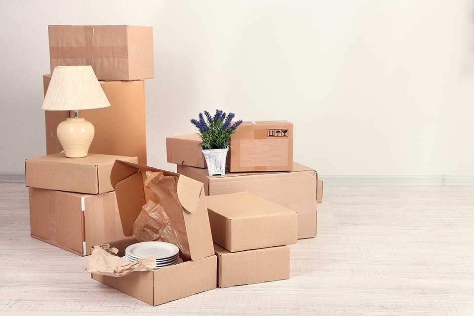 Des cartons de déménagement sont empilés sur un plancher en bois, à côté d'une lampe de table et d'une plante en pot.