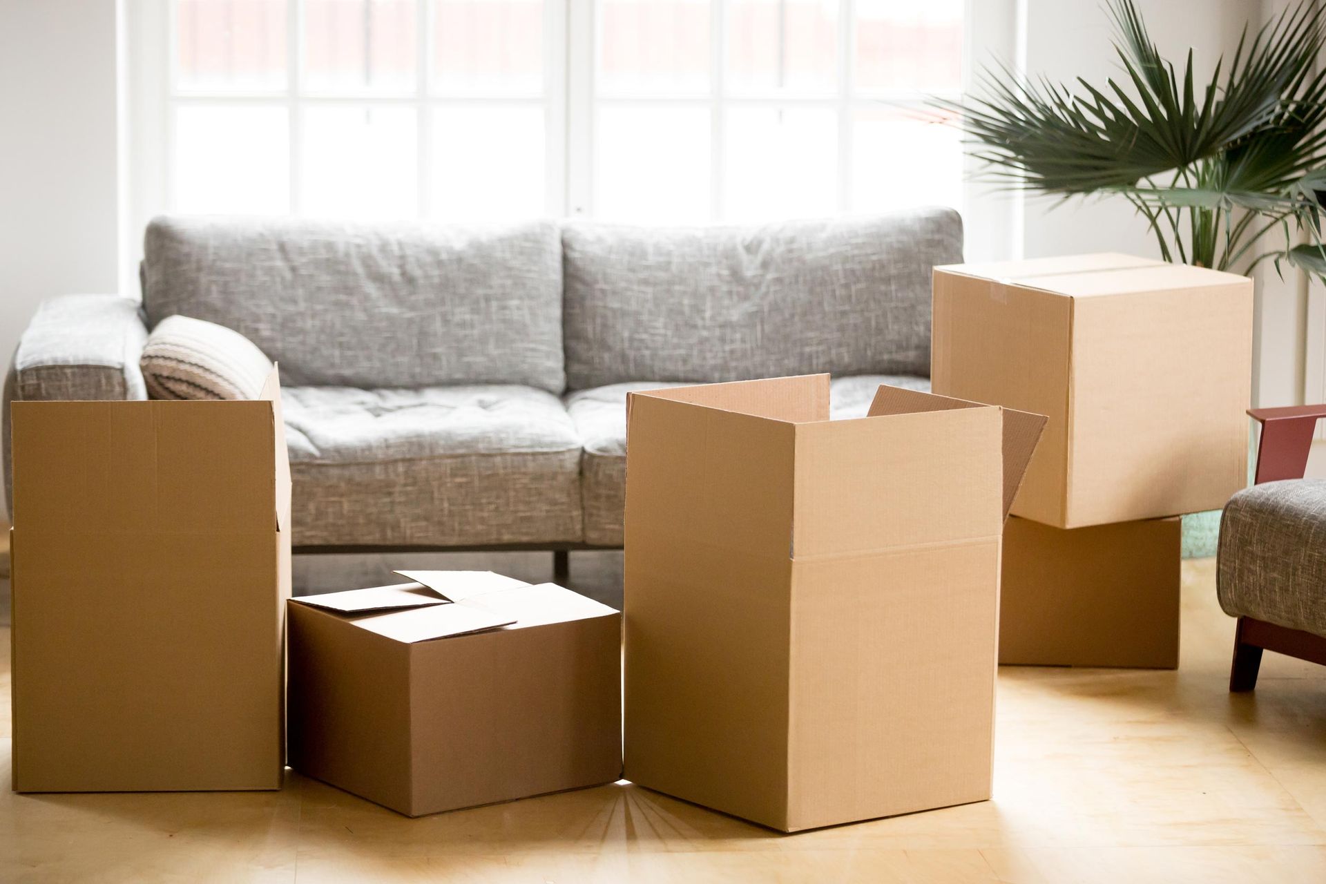 Des cartons de déménagement sont posés sur un parquet, devant un canapé gris et une plante d'intérieur.