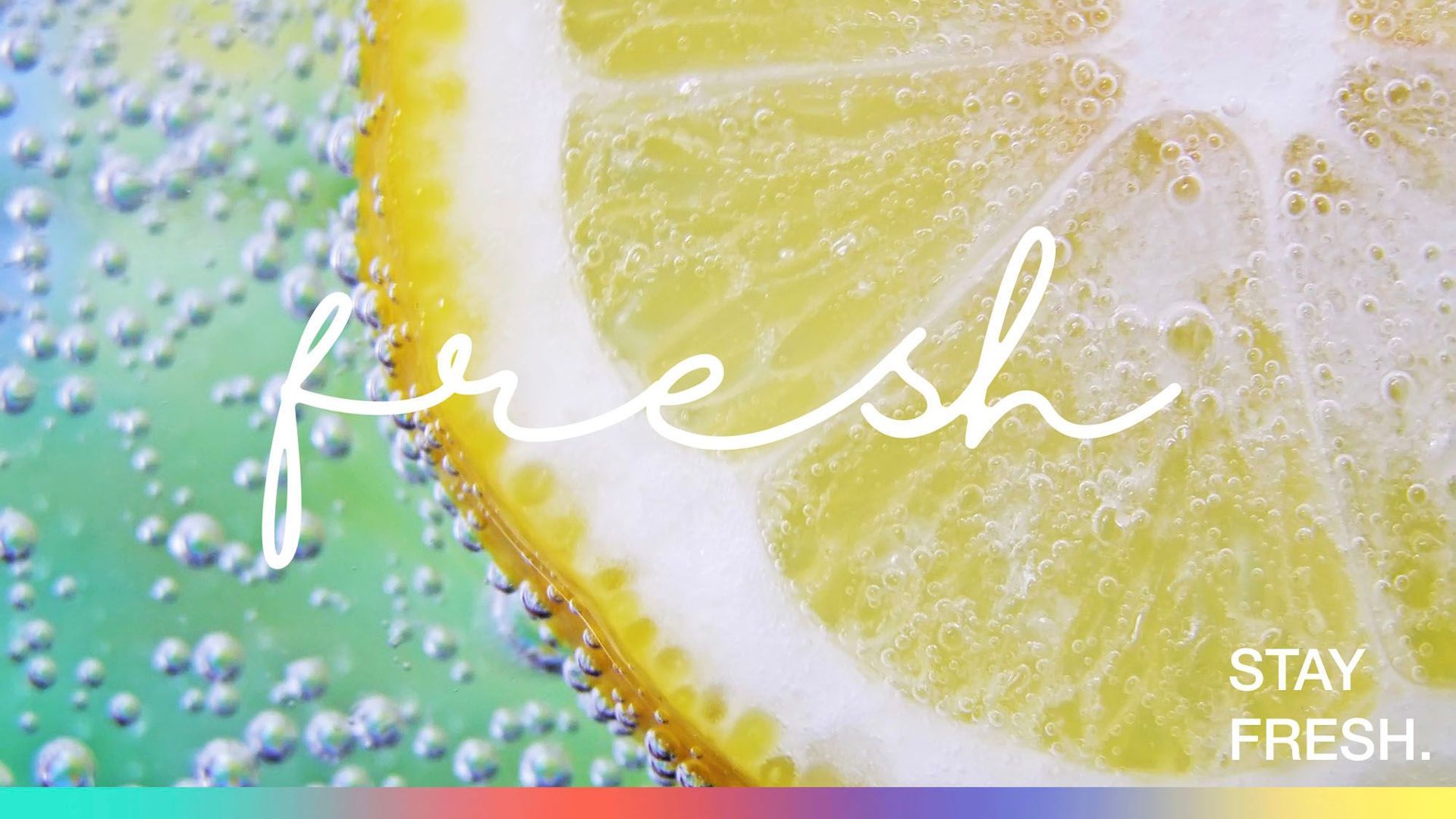 Sanitize - Powerteam GmbH in Feusisberg