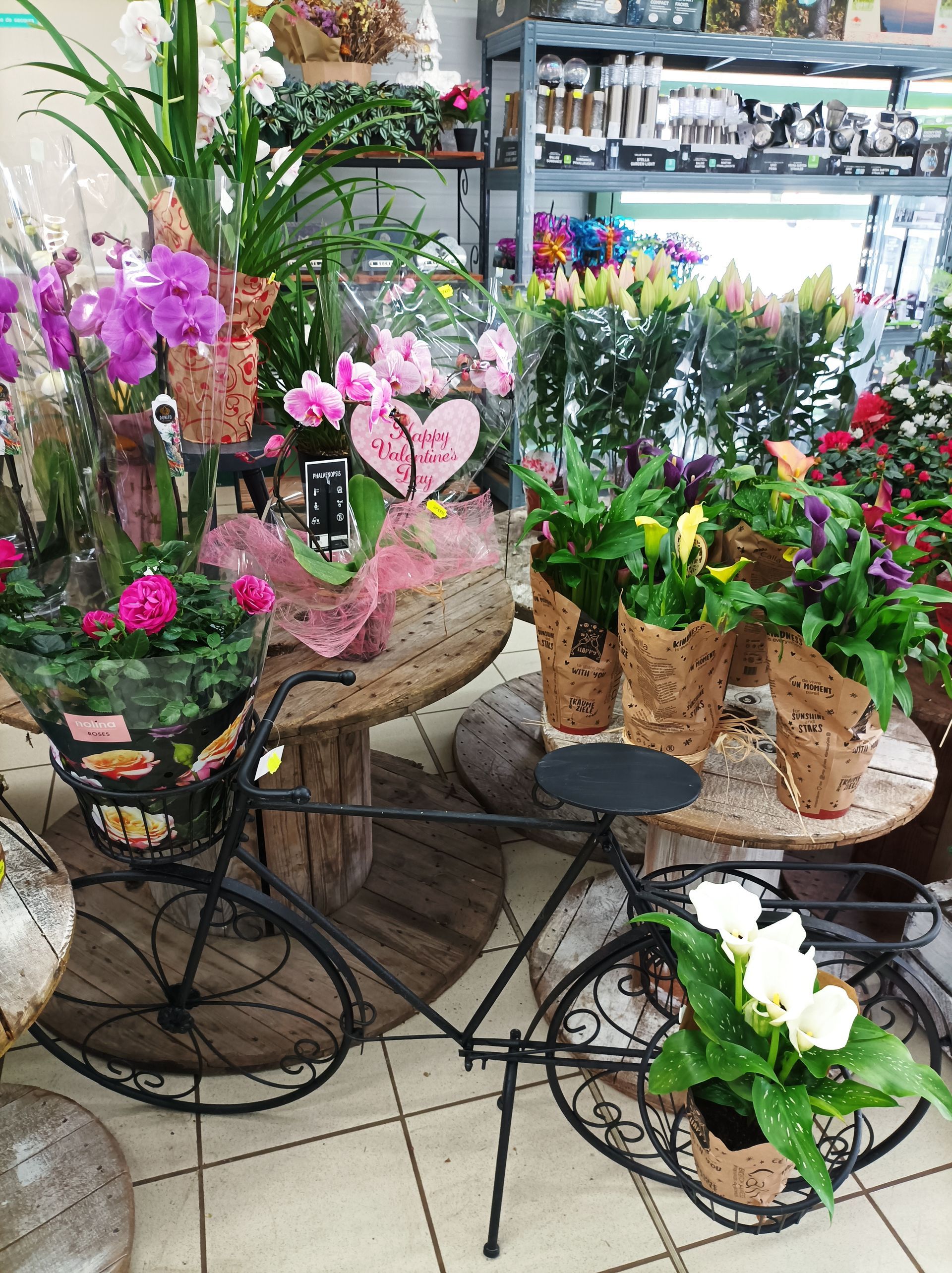 Rayon fleuriste avec des bouquets de fleurs