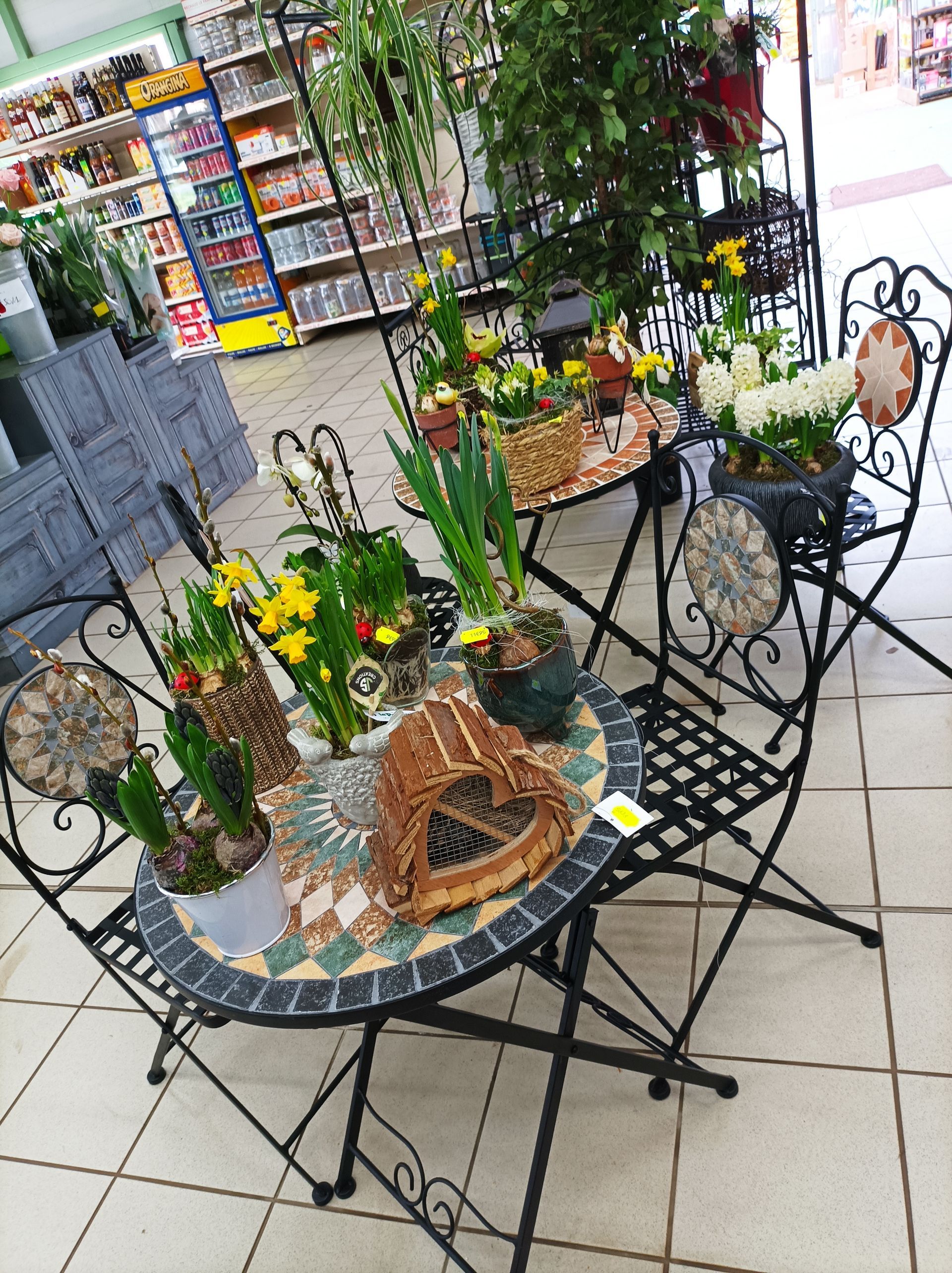 Petites compositions de plantes sur des tables de jardin