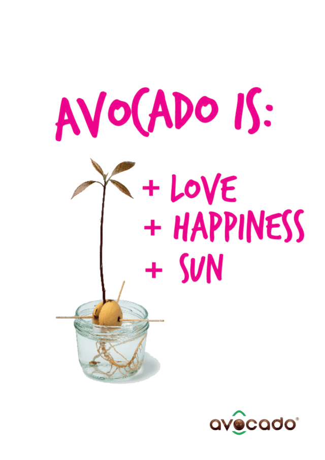 Un cartel que dice que el aguacate es amor, felicidad y sol.