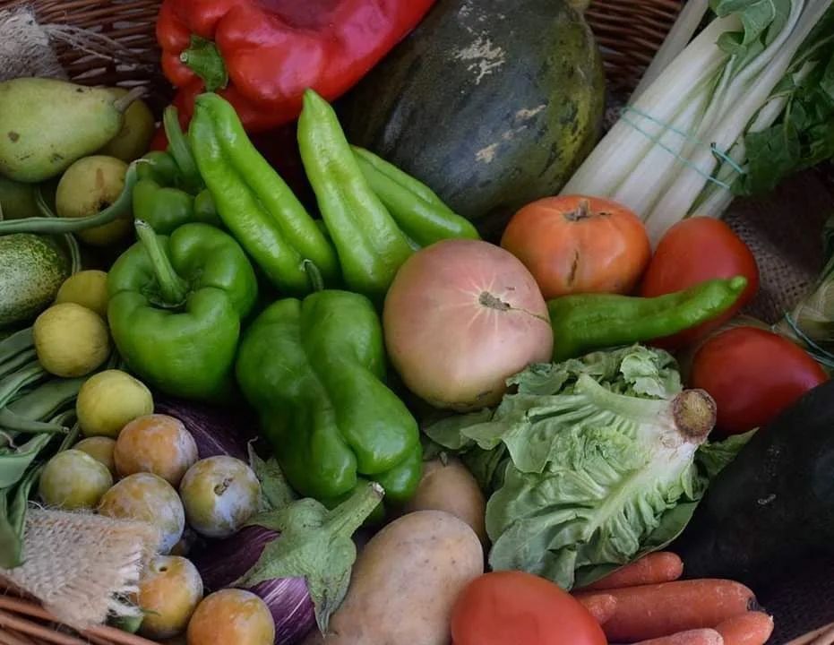 Cesta de productos frescos variados: pimientos, tomates, ciruelas, lechugas, zanahorias.